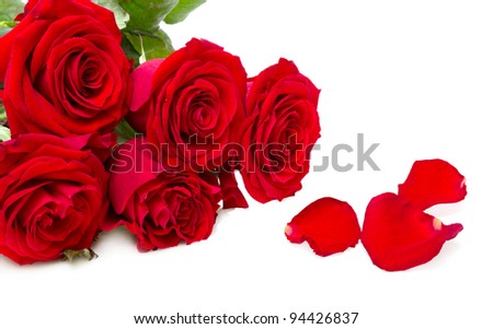 red roses isolated on a white background