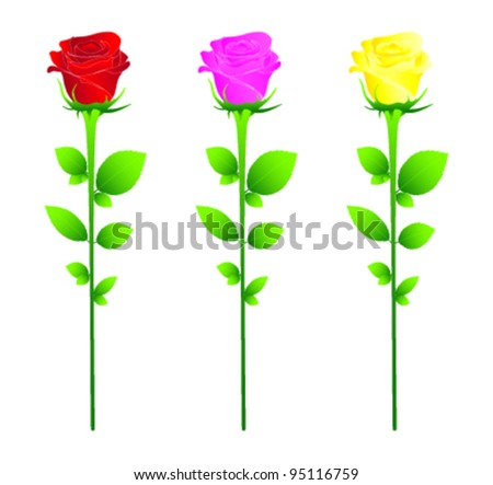 Roses - red pink yellow - vectors