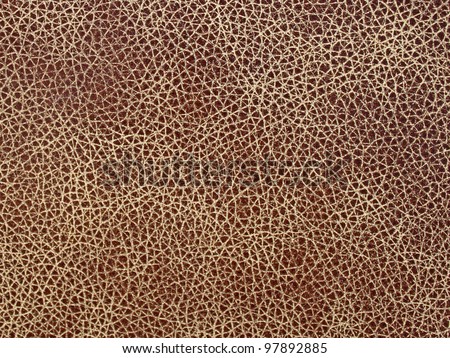 abstract background: close up of leather texture